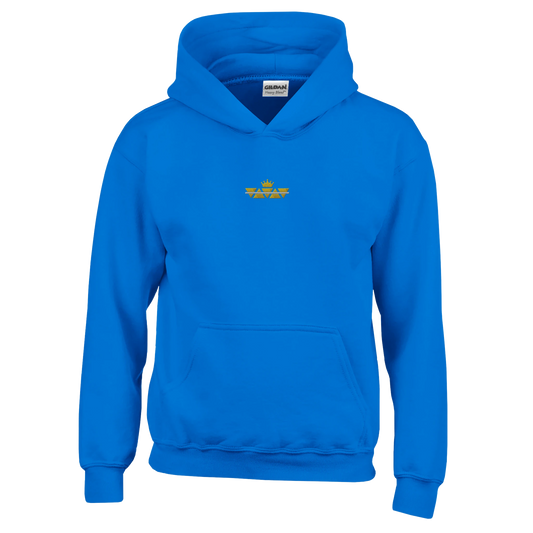 5dcfd307-fccf-441e-a688-4be352f10fab